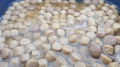 Jodra Expander-Pellets Premium Fisch 4 mm